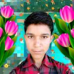 Asharam Meena Profile Picture