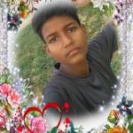 Ankush Kumar Profile Picture