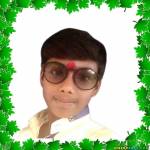 vikram lanjhiwar Profile Picture