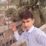 Md Irshad Profile Picture