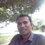 Pradeep kumar pal Pal Profile Picture