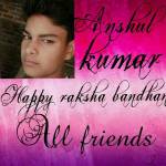 Anshul Kumar Profile Picture