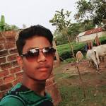 Bibash Roy Profile Picture