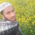 Mahamudul Hasan Profile Picture