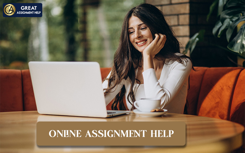 Get Your Assignment Quickly Done Through Online Assignment Help