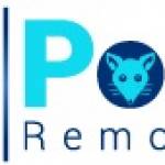 247 Possum Removal Perth