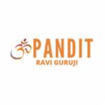 Pandit Ravi Guruji Profile Picture