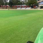 Sports turf consultants and suppliers of professional turf products Profile Picture