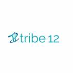 Tribe12 Org Profile Picture