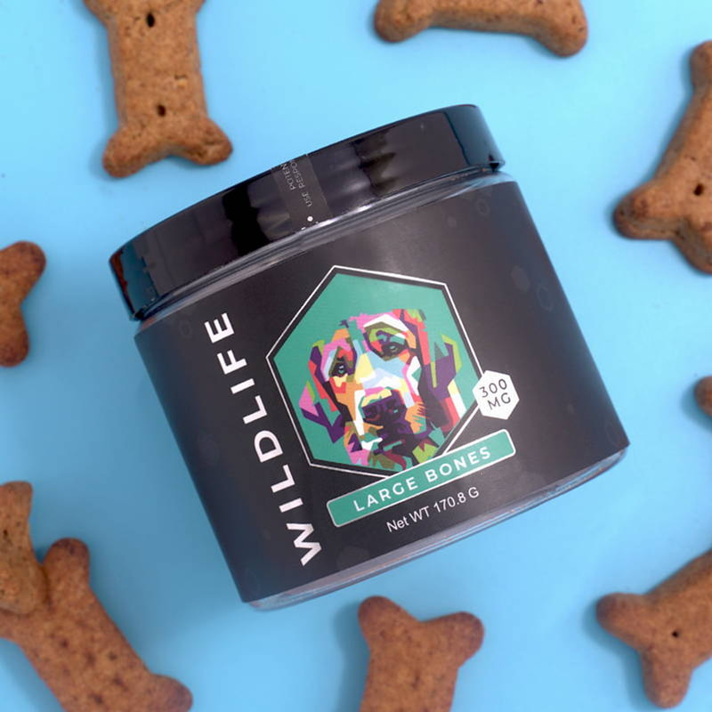 How to Choose the Best CBD Dog Treats for Your Pet?