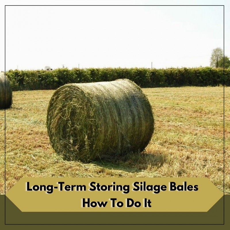 Long-Term Storing Silage Bales: How To Do It?: ext_5641389 — LiveJournal