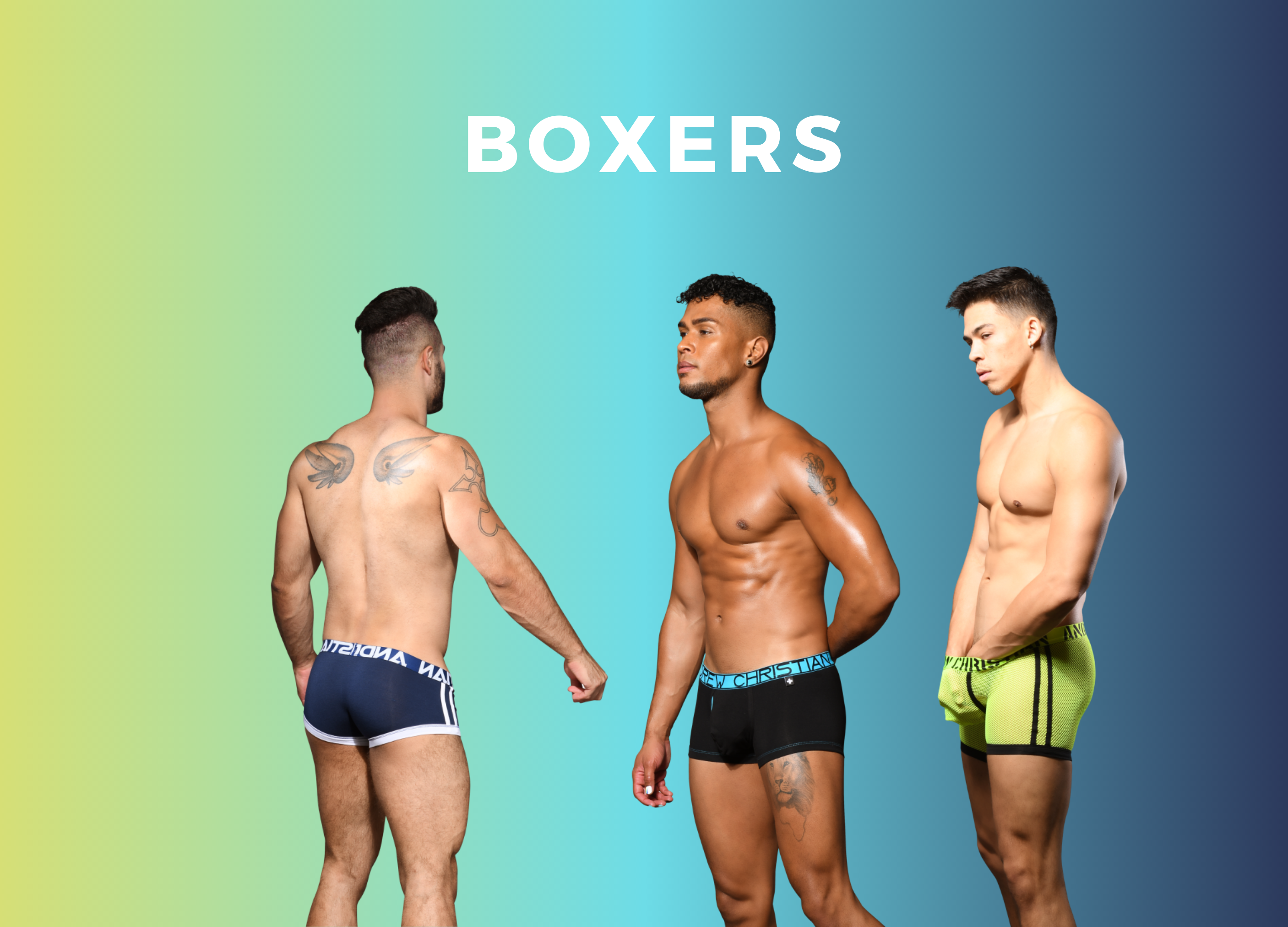 Shop Underwear Boxers, Mesh Boxers & Naked Boxers | Taste of Sensation