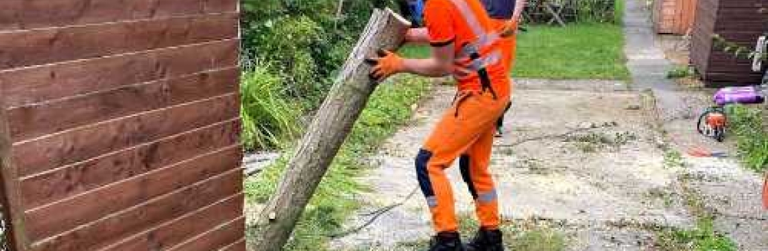 A & T Tree Services Ltd Cover Image