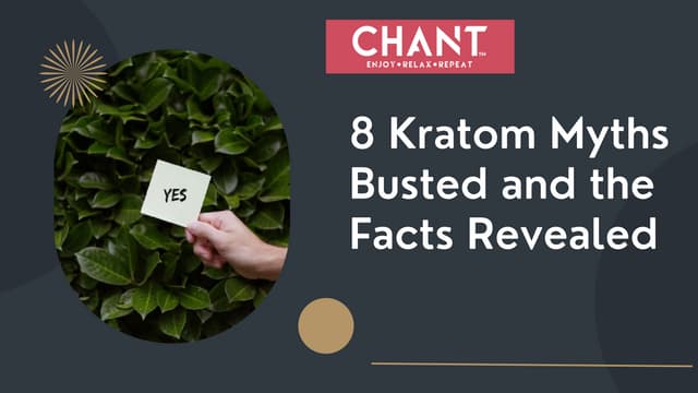 8 Kratom Myths Busted and the Facts Revealed