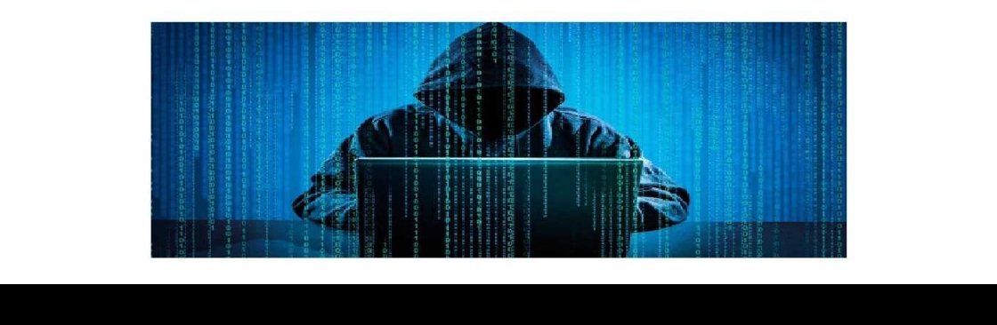 Primary Hackers Cover Image
