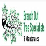 BranchOut TreeSpecialist