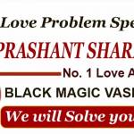 love vashikaran expert Profile Picture