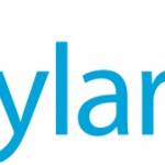 Skylark SD WAN Services in India