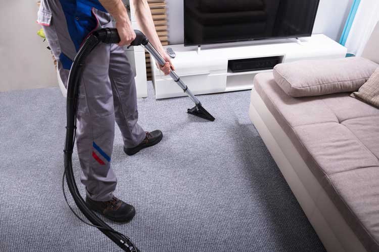 Carpet Cleaning Tauranga | Local . Trusted . Quick . Professional