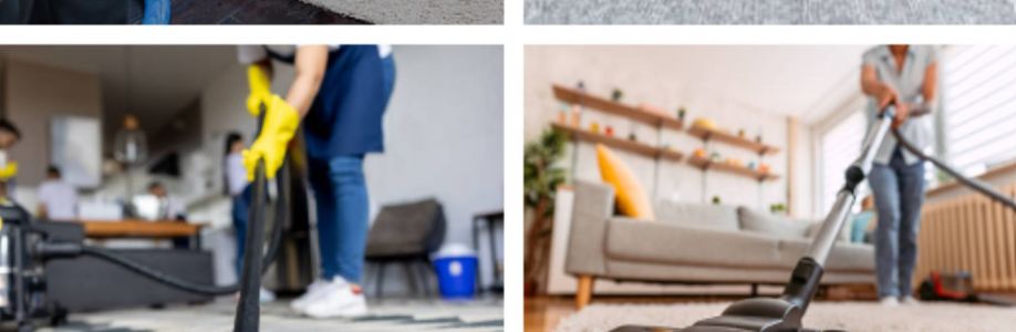 Carpet Cleaning Tauranga Cover Image