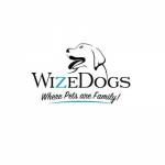 WizeDogs Labradors Positive Dog Training Academy