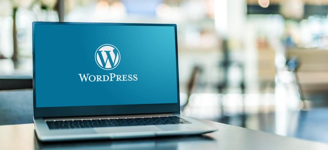 How Can Hiring a WordPress Developer Benefit Your Business?