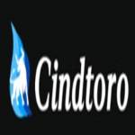 Cindtoro Digital Marketing Profile Picture