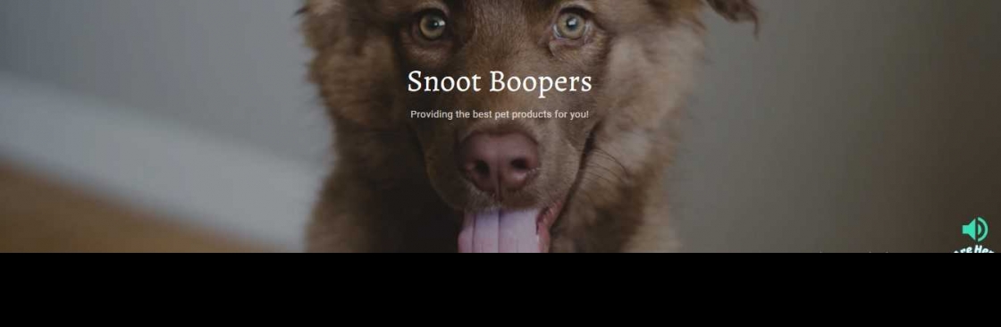 Snoot Boopers Cover Image