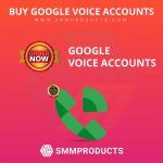 GoogleVoiceAccounts Profile Picture