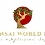 Bonsai World LLC