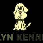 CELYN KENNELS Boarding Kennels North Wales Profile Picture