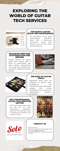 When nurturing your passion for guitar playing, understanding the valu