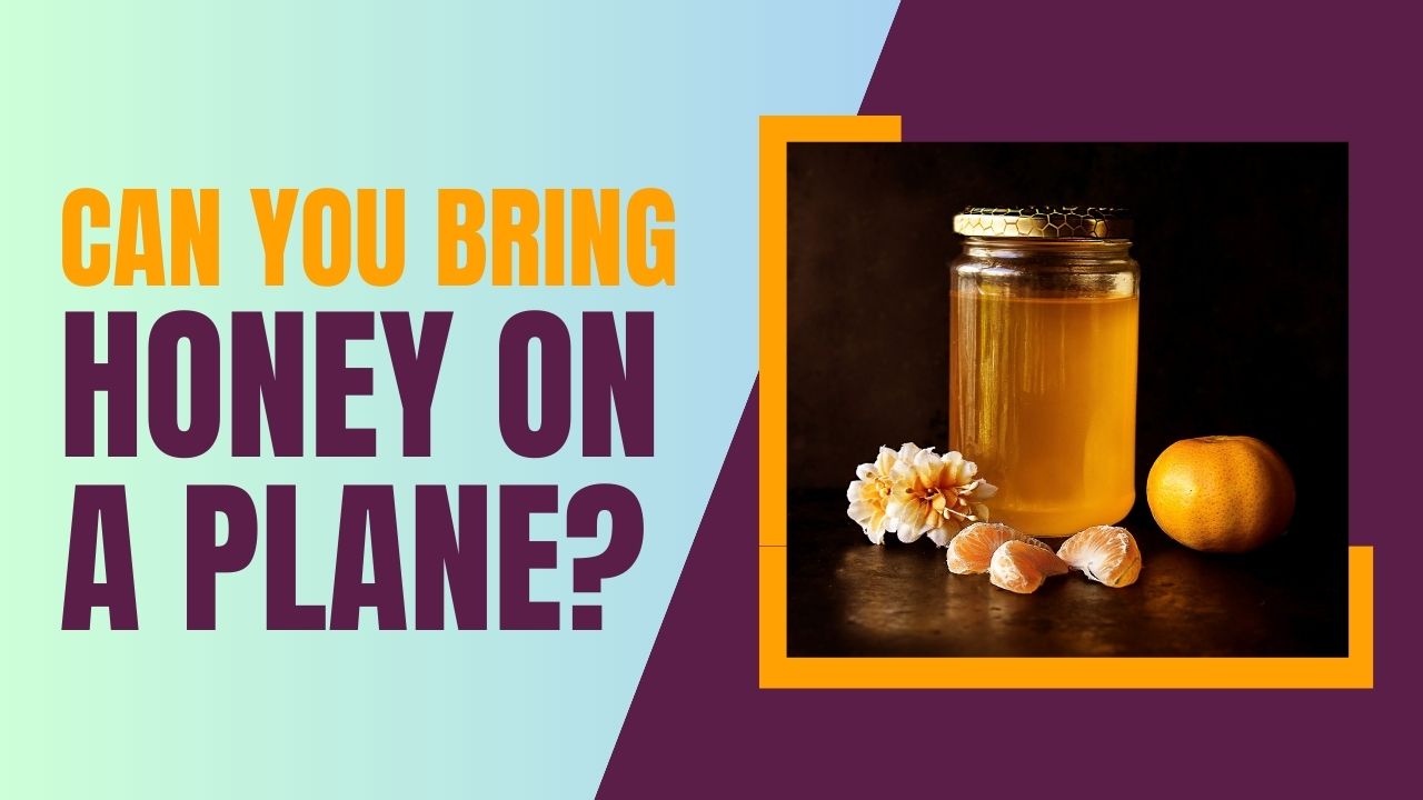 Can You Bring Honey On A Plane? (Explained!)