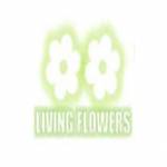 Living Flowers melbroune