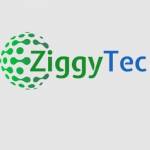 ZiggyTec Limited