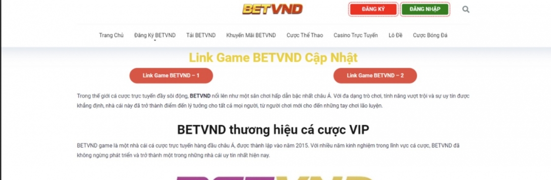 BETVND PRO Cover Image