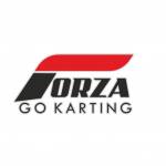 Forza Gokarting