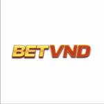 BETVND PRO Profile Picture