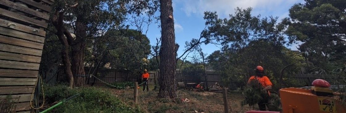 Ocean Road Tree Services Cover Image
