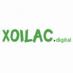 xoilac digital Profile Picture