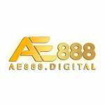 AE888 DIGITAL Profile Picture
