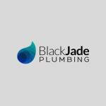 Best Plumber Gold Coast Prices Profile Picture