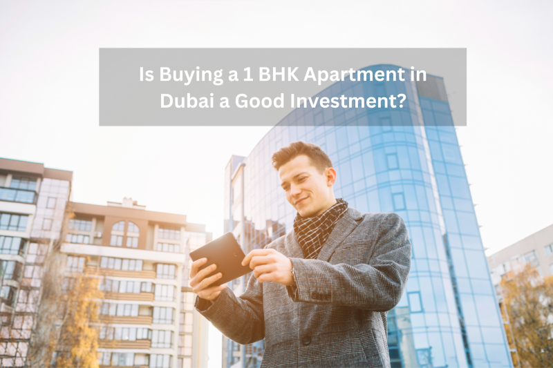 Is Buying a 1 BHK Apartment in Dubai a Good Investment?: dream_home_duba — LiveJournal