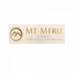 Mt Meru Consultants