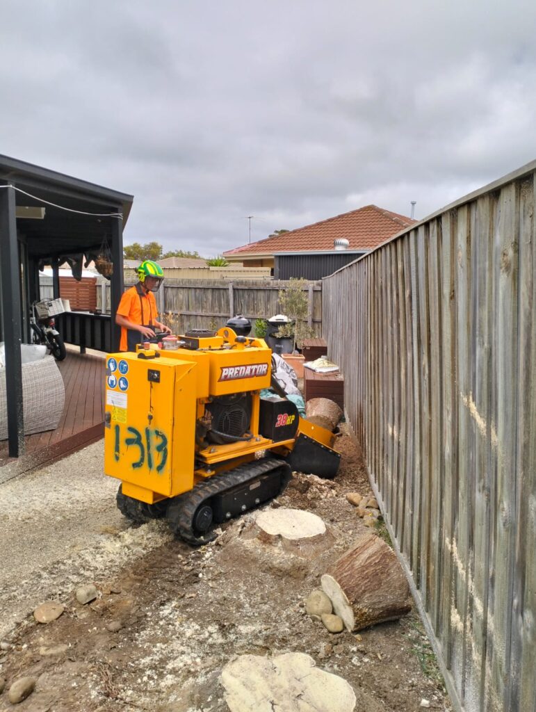 How to Safely and Efficiently Remove Tree Stumps: Expert Stump Grinding Services in Geelong