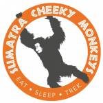 Sumatra cheeky monkeys