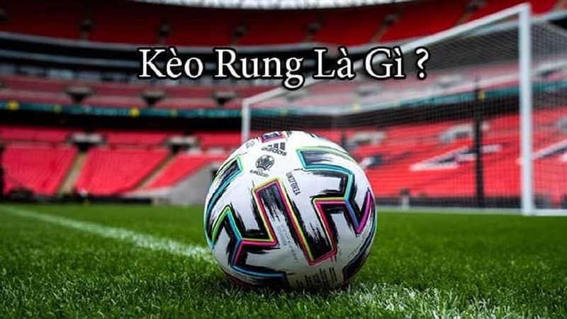 Cược rung - Tổng hợp các loại kèo rung phổ biến nhất