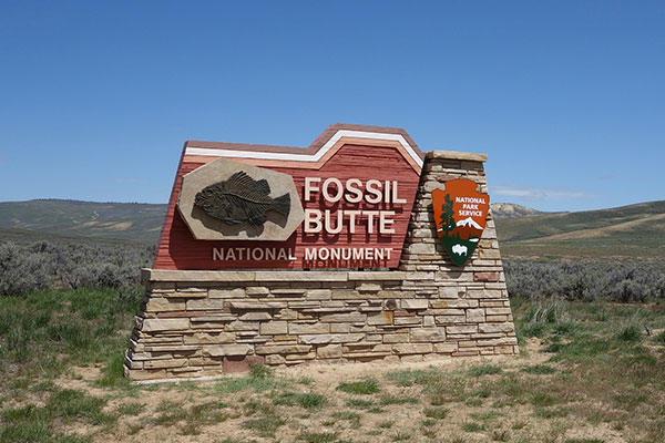 The Crucial Role of Correct Installation and Maintenance for Stone Monument Signs