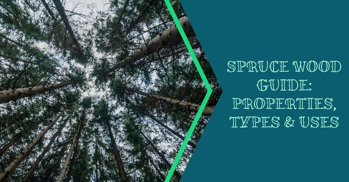 A Detailed Guide to Spruce Wood Properties, Types, and Uses