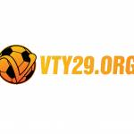 vty29 org